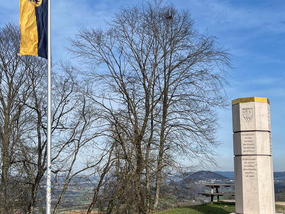 25-03-21 15-33-12 2500